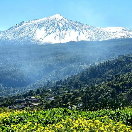 Barbacue House Giovanni & Rosa A By Hrtenerife Net Holiday home Icod De Los Vinos